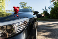 Frontsicht auf BMW mit rotem Sparschwein